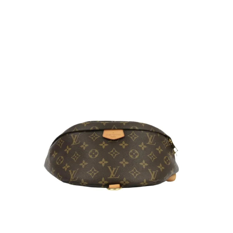 Louis Vuitton Bumbag - Monogram